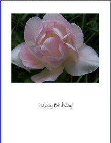 AngeliqueB'day.png