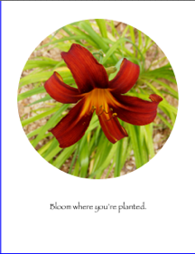 Bloom.png